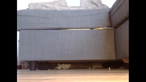 wet_pants2022 online show from 02-27-25, 04:43