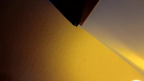 wetduck77777 online show from 04-09-26, 09:15