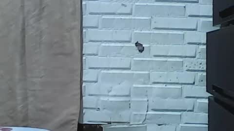 wettyhottie69 online show from 02-03-26, 06:11