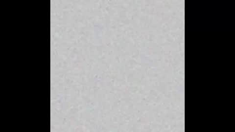 whattheylike online show from 03-23-26, 02:26