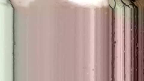 whispereddy online show from 03-09-26, 11:03