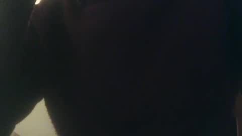 Whiteduke online show from 01-03-25, 12:33