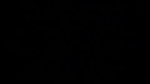 whitehead_lion online show from 02-04-26, 09:53