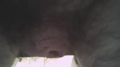 whitemann65 online show from 01-02-25, 01:08