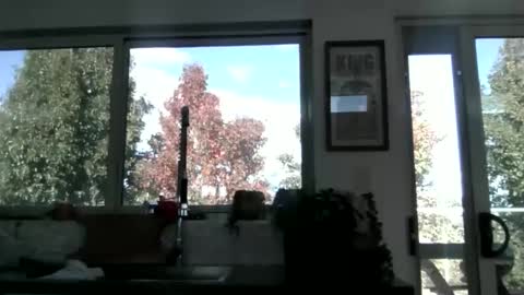 Snapshot of whitepantyman1973 chatting on 04-29-26, 03:10 whitepantyman1973 online show from 04-29-26, 03:10