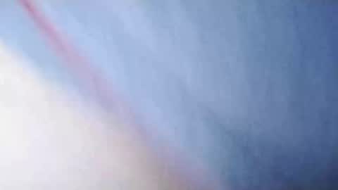 Whitezilla20cm online show from 12-06-24, 11:33