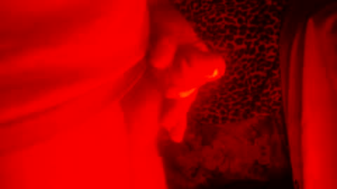 whor4mor online show from 12-27-24, 01:39