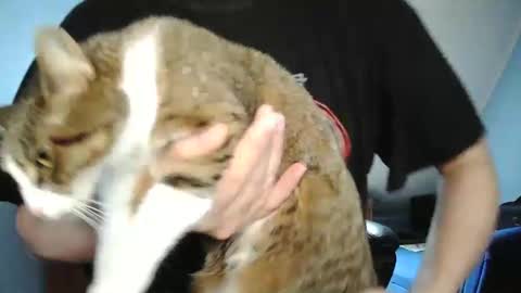 Snapshot of wickes71 chatting on 12-30-24, 10:21 Tommy online show from 12-30-24, 10:21