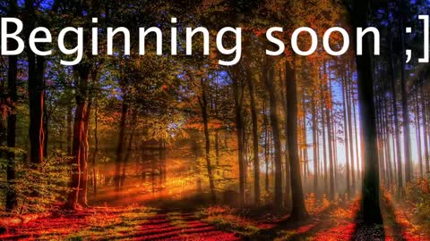 Wiedz online show from 01-02-25, 11:06