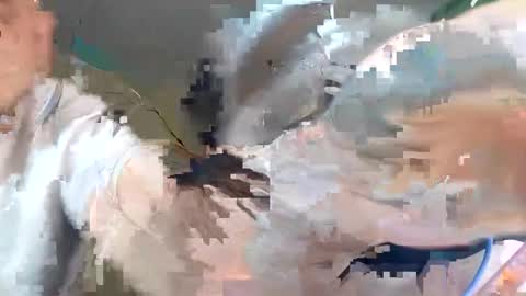 WikiBitch online show from 10-10-25, 09:25