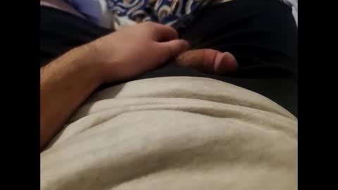 Wild-at-heart online show from 01-11-25, 08:33