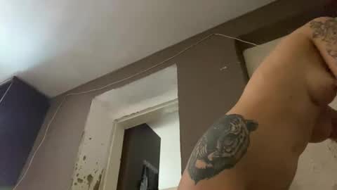 wildforestmuse  twitter online show from 03-25-26, 07:36