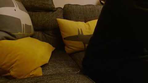 wildwills online show from 05-10-26, 10:37