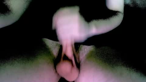 willcox10301 online show from 12-13-24, 06:05