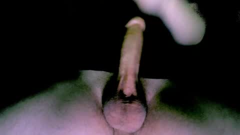 willcox10301 online show from 01-12-25, 10:12