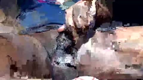 Snapshot of willianel chatting on 12-13-25, 11:43 willianel online show from 12-13-25, 11:43