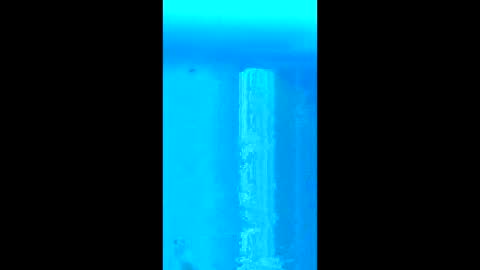 willielowrider online show from 02-18-26, 03:08