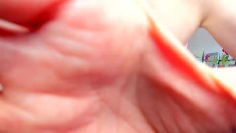 Wilhelmina better Willy online show from 02-20-25, 09:55