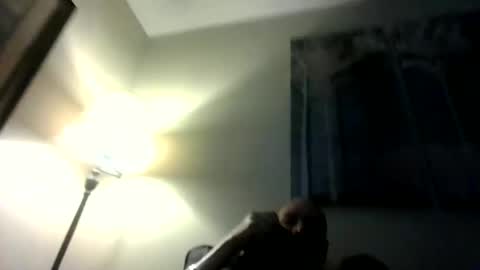 Willhedoher online show from 03-01-26, 12:51