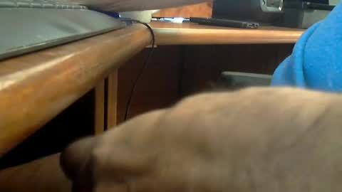 Wineman88886 online show from 06-20-26, 07:16
