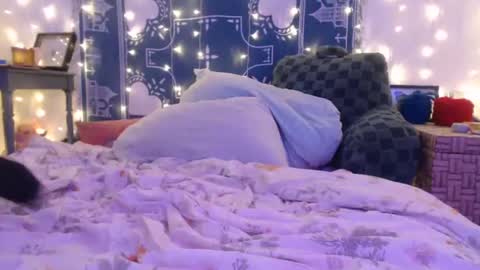 Snapshot of wingardiumleveveosa chatting on 12-19-24, 06:23 Eevie online show from 12-19-24, 06:23