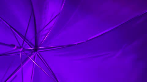 Wiz and Candy online show from 01-08-25, 05:16