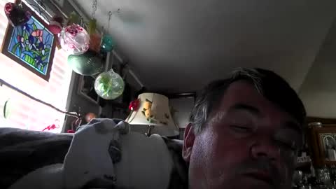 wldlife online show from 07-14-26, 07:19
