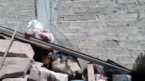 WolvyGalan online show from 01-20-25, 07:04