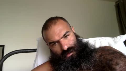 woof_wolf37 online show from 09-11-25, 04:07