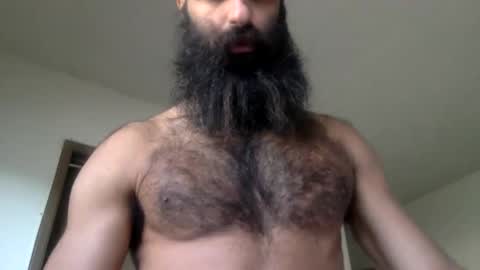 woof_wolf37 online show from 04-15-26, 03:52