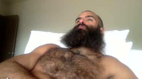 woof_wolf37 online show from 04-16-26, 10:56