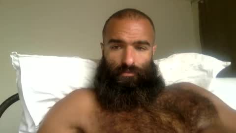 woof_wolf37 online show from 05-26-26, 03:19