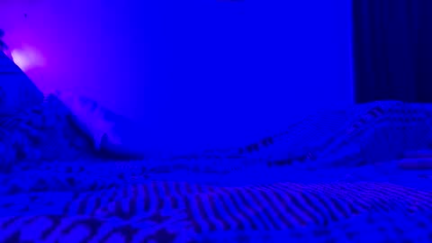 Snapshot of wowsers7 chatting on 11-07-25, 08:03 wowsers7 online show from 11-07-25, 08:03