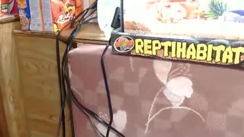 x2kayx2 online show from 01-13-26, 09:42