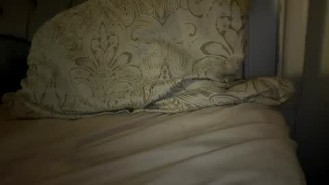 Snapshot of x_dreamgirl_x chatting on 11-29-25, 04:59 Mariah online show from 11-29-25, 04:59