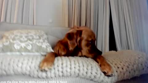 Lily online show from 02-21-25, 12:27