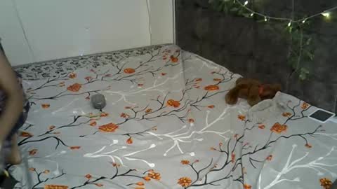 Alexa online show from 11-17-25, 02:23