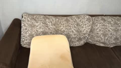 Xavier  PVT open  online show from 09-24-25, 11:13