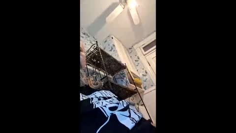 xbillisticx1 online show from 06-02-26, 01:02