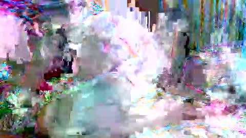 xixo6969 online show from 02-20-26, 05:15