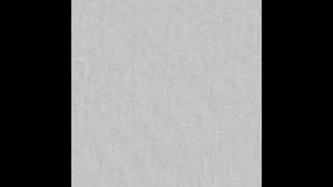 JSSD online show from 11-23-25, 08:52