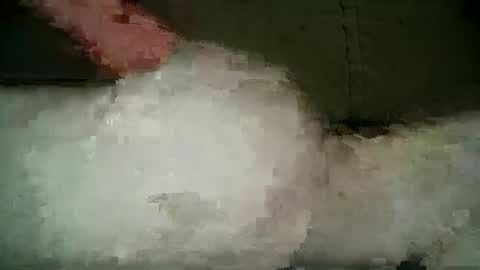 Snapshot of xlecram chatting on 03-05-25, 09:59 Wendy online show from 03-05-25, 09:59