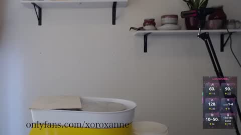 xoroxanne online show from 02-11-26, 08:36