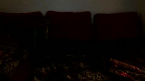 3 online show from 02-16-25, 06:43