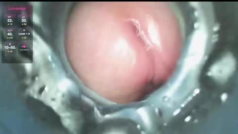 xoxowtf online show from 12-09-24, 03:54