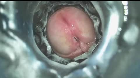 xoxowtf online show from 12-16-24, 07:43