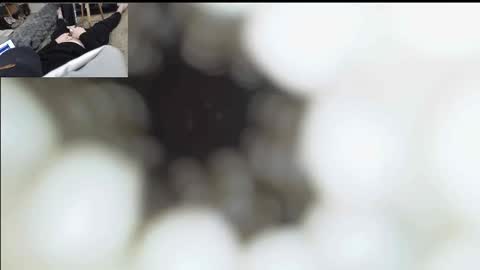 xoxowtf online show from 01-11-26, 06:57