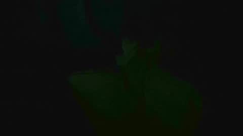 xposed_edger online show from 03-02-25, 05:33