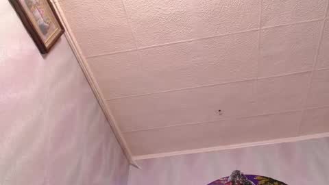 Snapshot of xxxkinkycpl chatting on 12-20-24, 08:49 isa and gonzo online show from 12-20-24, 08:49