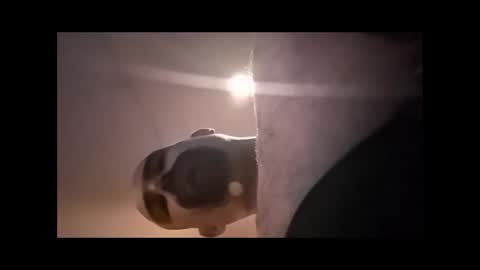 Xzbib online show from 04-04-26, 04:48